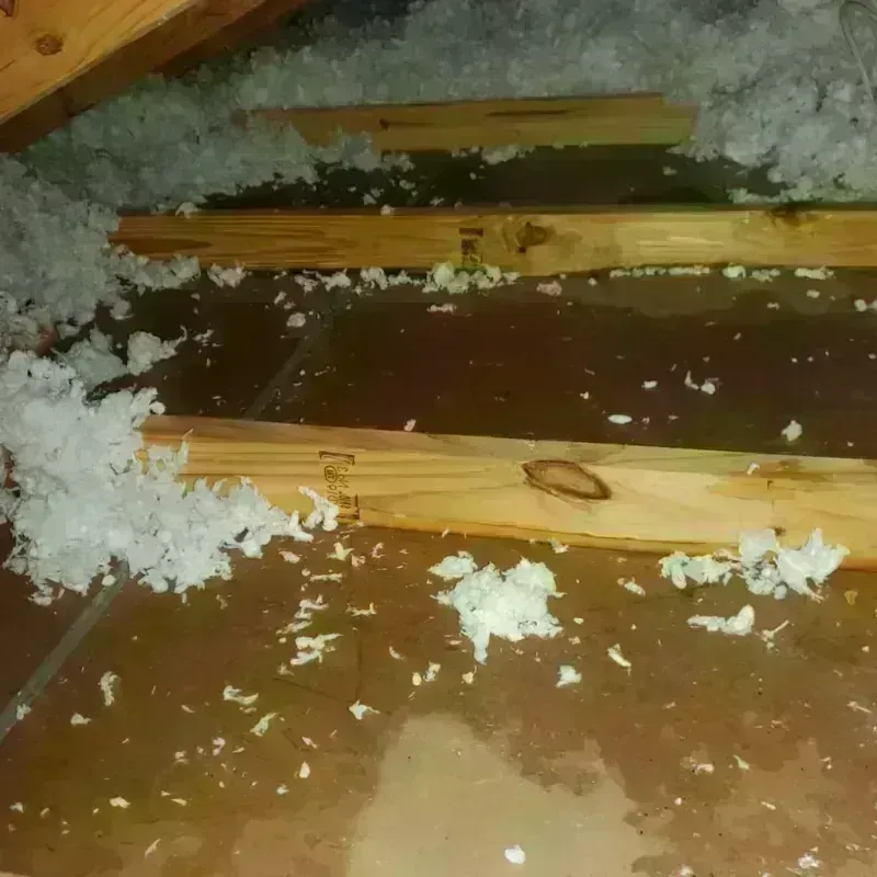 Attic Water Damage in City of Petersburg, VA