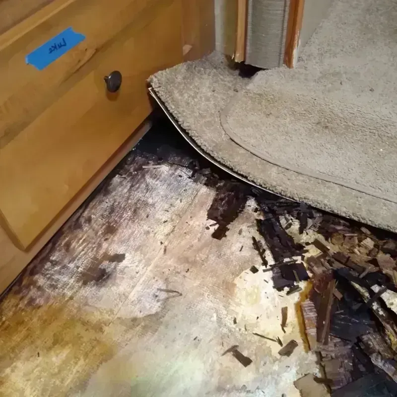 Wood Floor Water Damage in City of Petersburg, VA